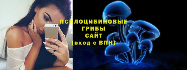 a pvp Алзамай