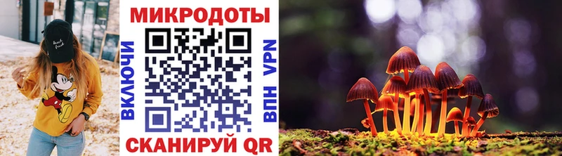 купить наркотик  Брюховецкая  MEGA ССЫЛКА  Галлюциногенные грибы Psilocybe 